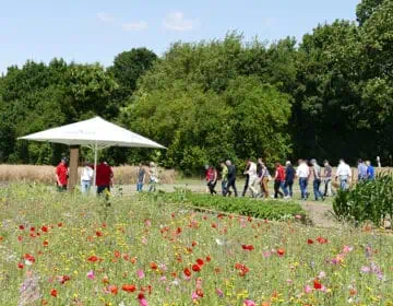 Team Up for Sustaining Tomorrow: Une nouvelle édition des Journées de l’agroécologie de Südzucker s&rsquo;achève avec succès Image