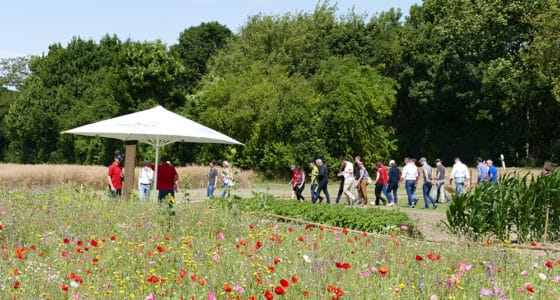 Team Up for Sustaining Tomorrow – Another Round of Südzucker’s Sustainable Farming Days Successfully Wrapped Image