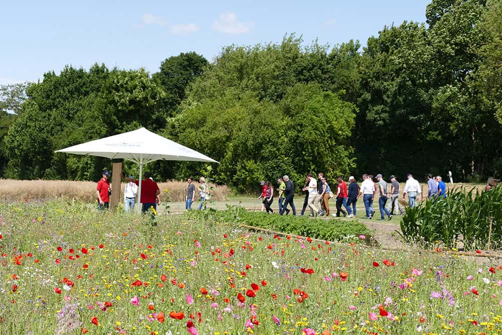 Team Up for Sustaining Tomorrow – Another Round of Südzucker’s Sustainable Farming Days Successfully Wrapped Image