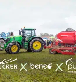 Team Up for Sustaining Tomorrow: jak poprzez współpracę wprowadzać zmiany w rolnictwie regeneracyjnym Image