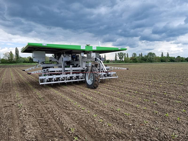 Robotic Solutions in Beetfarming: Farmdroid