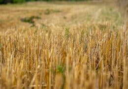 Crop residue management Image