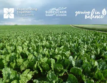 SAI Regenerating Together Programme:  Continous Improvement  for Scalable Impact Image